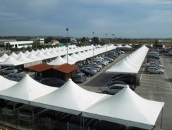 Gazebo cm 300x300 con PVC Airone Corallo zincato piantone mm 60