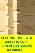Casetta in legno Oriente1 con tettoia cm 300x240