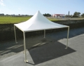 Gazebo per Auto cm 300x500 Airone Minimax zincato (per mod. verniciato vedi su Varianti)